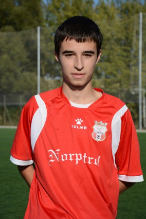 DAVID PEÑA MURILLO